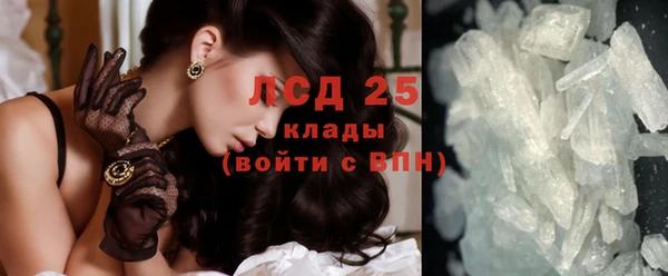 ПСИЛОЦИБИНОВЫЕ ГРИБЫ Белоозёрский