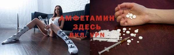 ПСИЛОЦИБИНОВЫЕ ГРИБЫ Белоозёрский