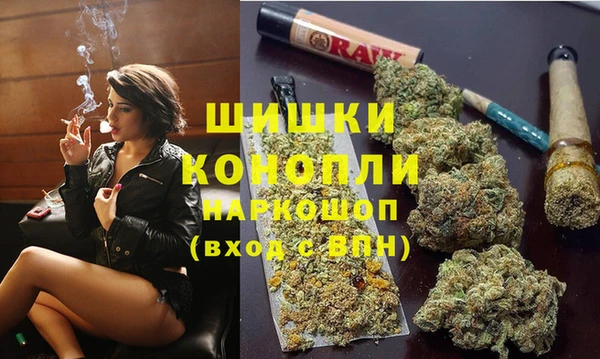 ПСИЛОЦИБИНОВЫЕ ГРИБЫ Белоозёрский